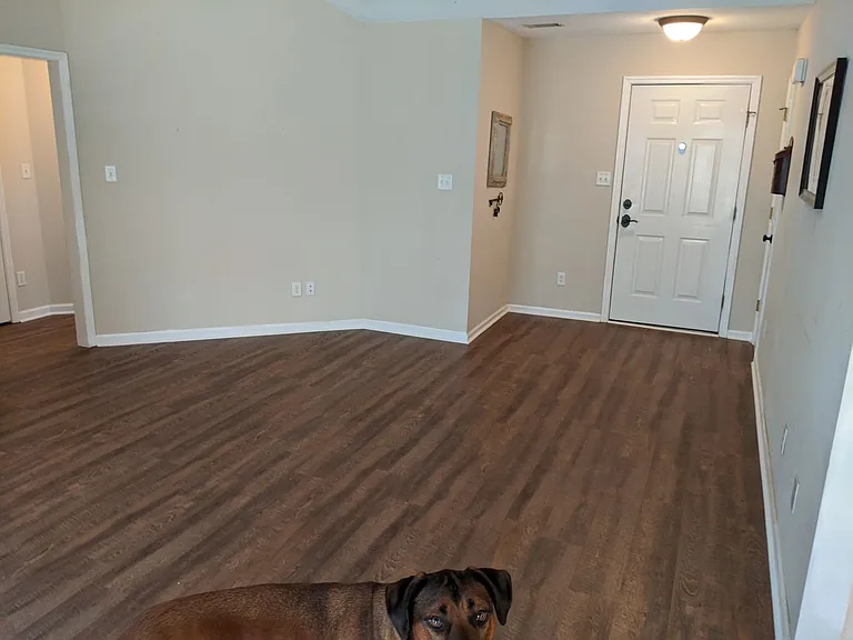 4557 Country Glen Cir — Photo 4