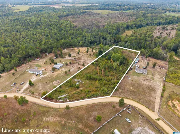 0 Road County #341-1, Maplesville, AL 36750