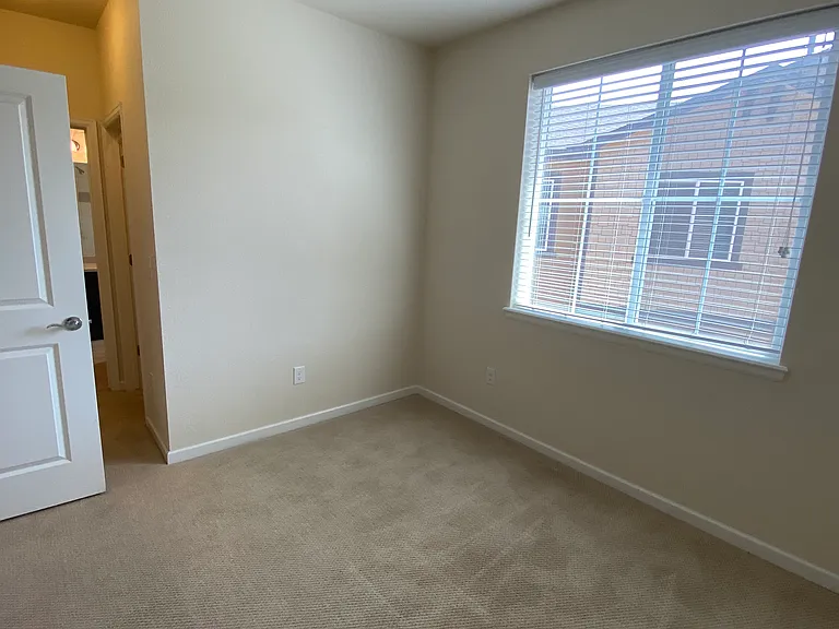 3315 Youngheart Way — Photo 19