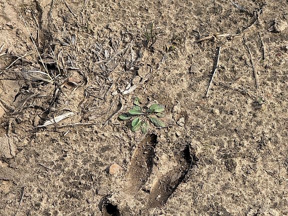 2nd image of 2913 County Line Rd