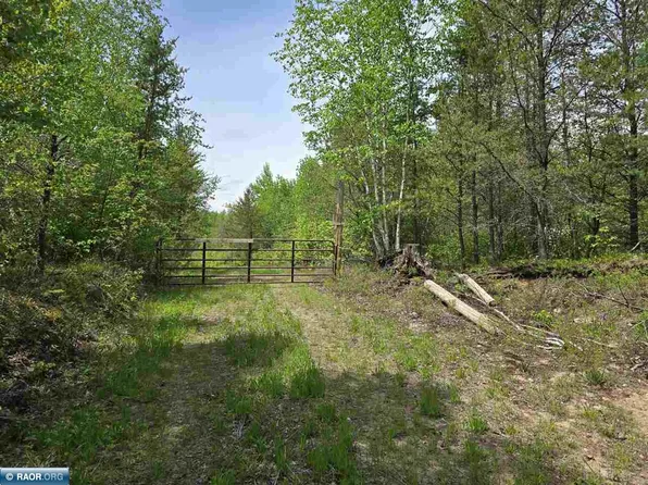 County Road 556, Nashwauk, MN 55769