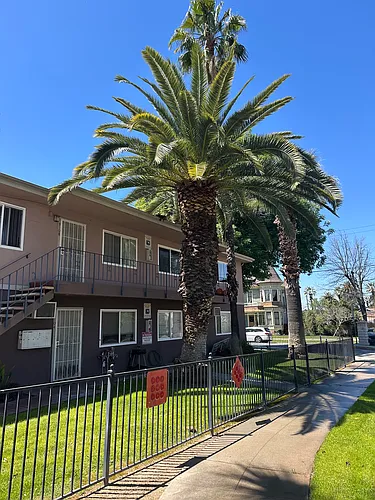 3108 Mulberry St #1 Photo 1