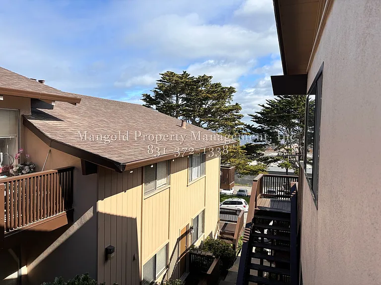 491haw — Photo 11