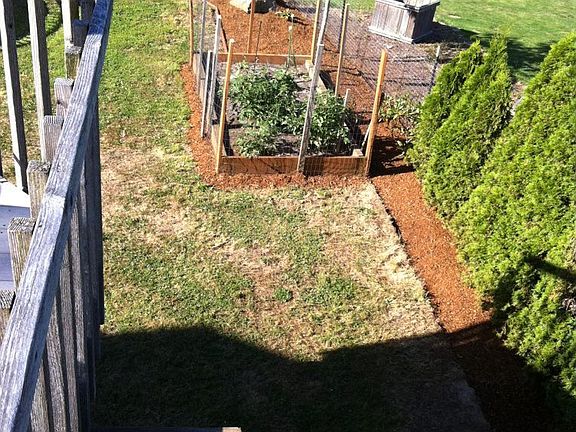 Side Yard