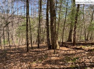 TBD Forest Hill Drive, Sparta, NC 28675