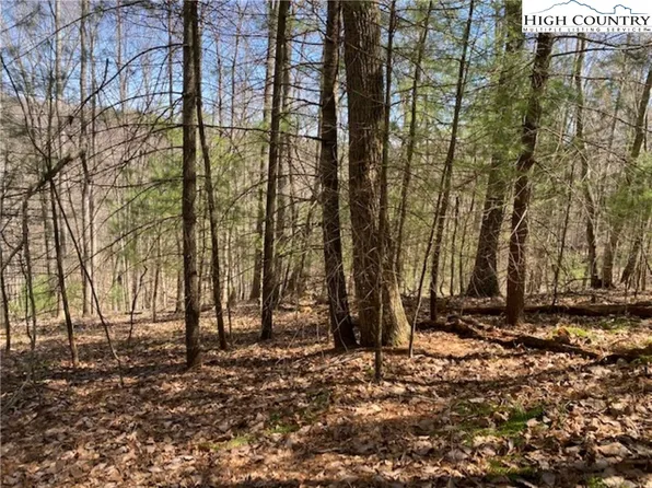 TBD Forest Hill Drive, Sparta, NC 28675