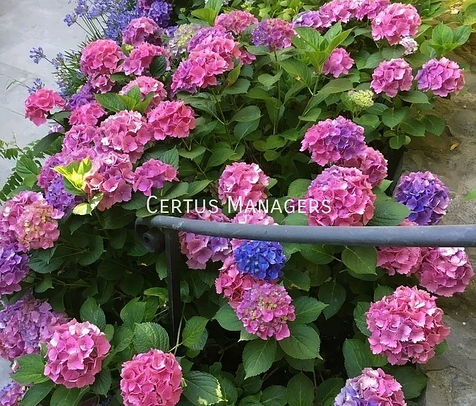 75 Marguerite Ave — Photo 53