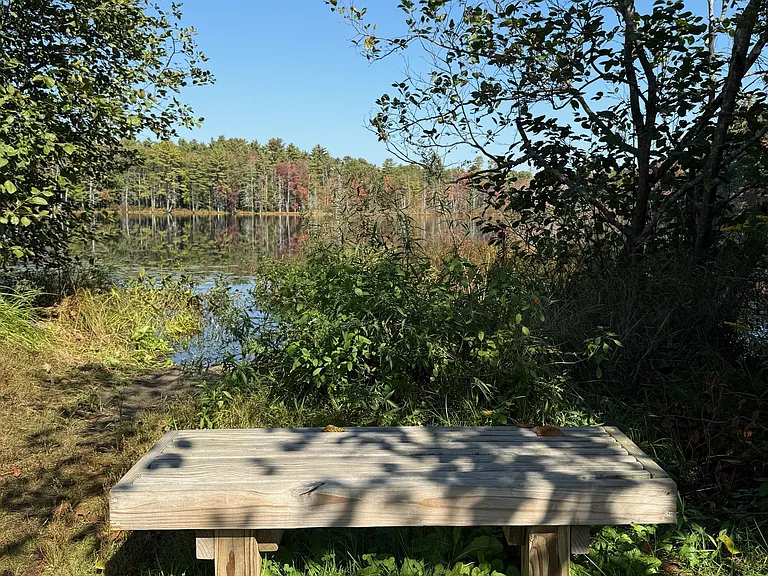 Anglers Point — Photo 16