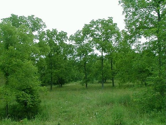 Improved Pastures