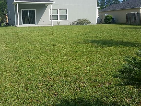 back yard