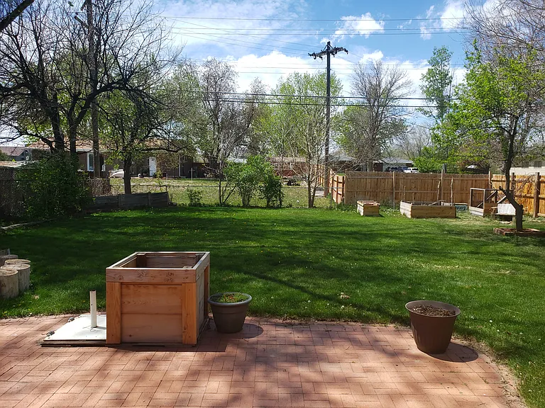 Patio and backyard