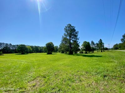 14 Crabapple Ln, Carriere, MS, 39426
