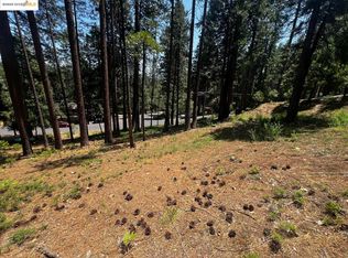 2904 Venado Dr, Arnold, CA