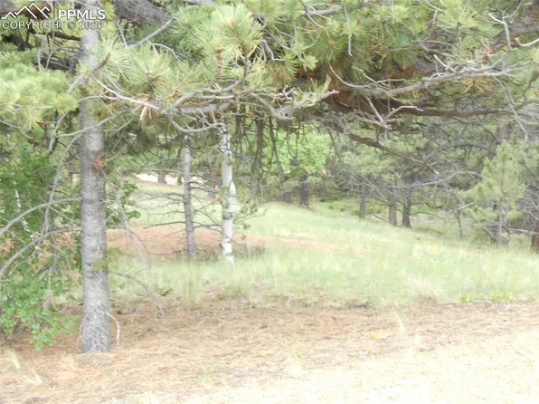 521 Vindicator Dr, Cripple Creek, CO 80813