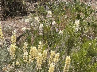 Montello, Montello, NV 89830