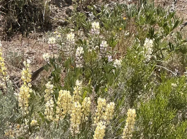 Montello, Montello, NV 89830