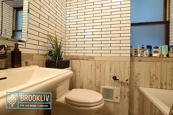 Rented by null | media 23