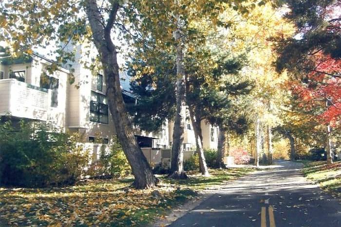Fall Is Here!