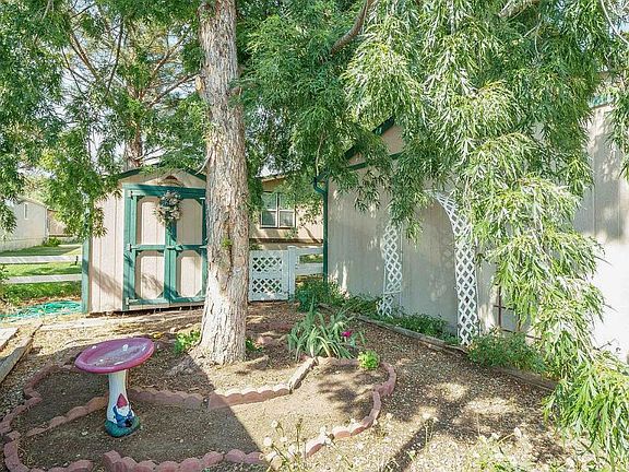 Garden area
