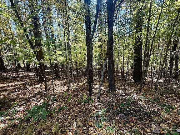 4th image of Lot 33 Woodland Valley Road