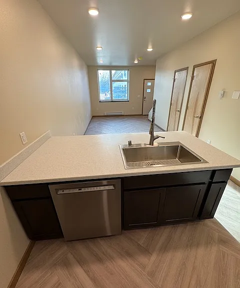 Kitchen and dishwasher