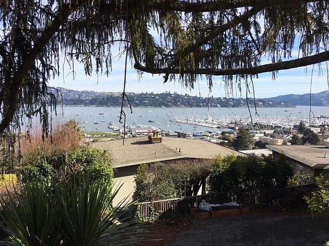 Cazneau Ave — Photo 18