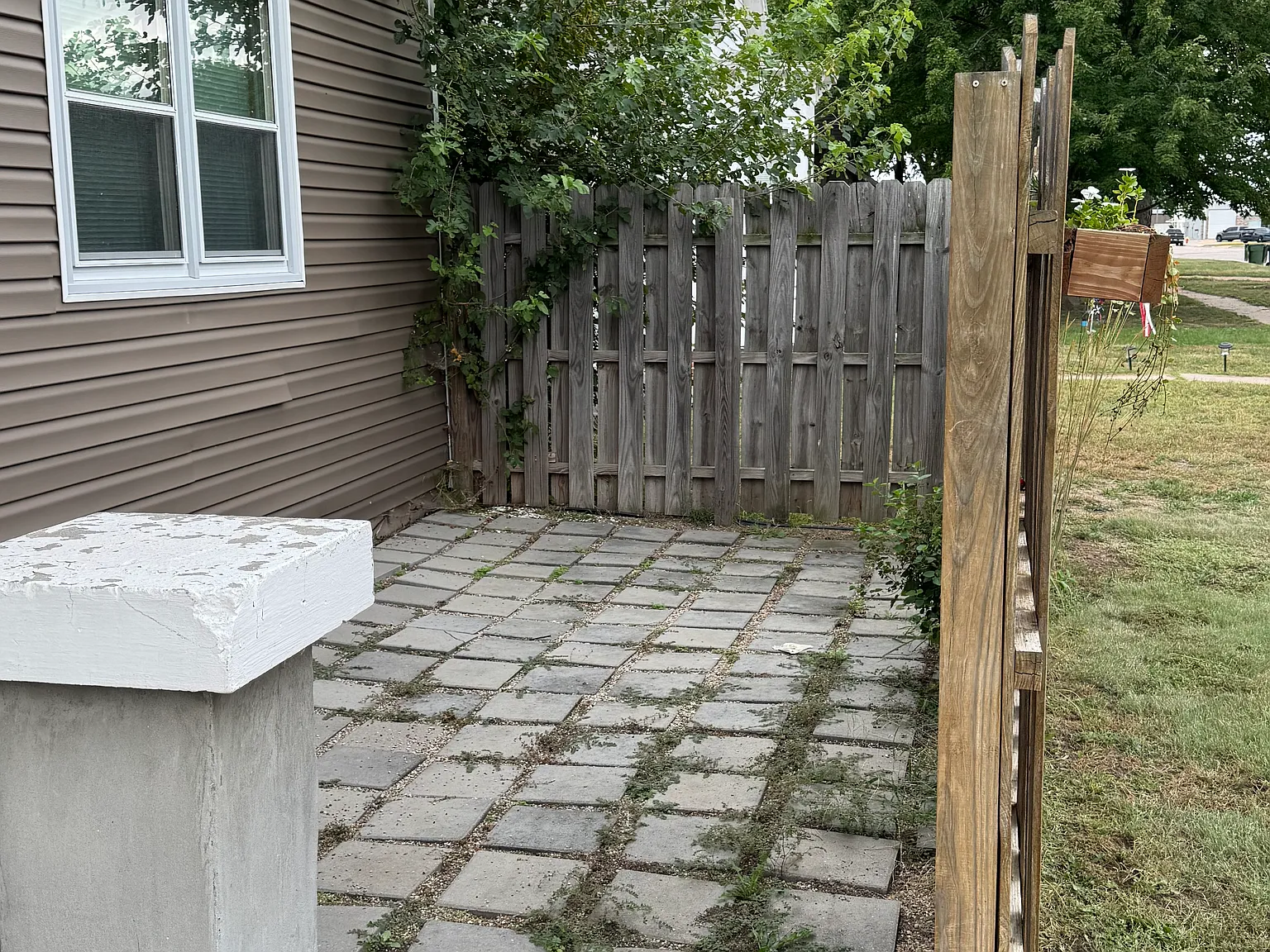 1 bed, 1186 sqft, $850 — Photo 3