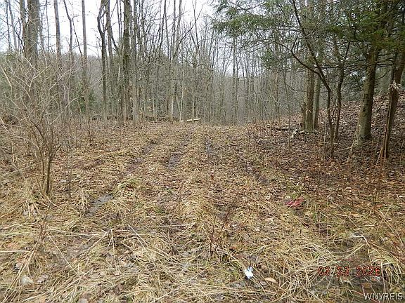 4th image of Olean Rd