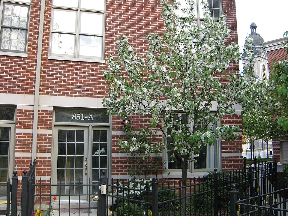 1st image of 2007 W Churchill St #P-10