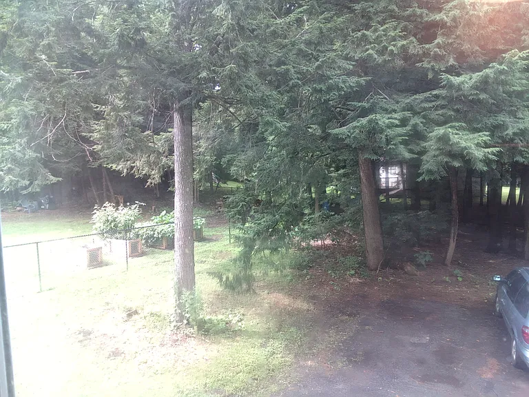 86 Sandhill Rd #86 — Photo 15
