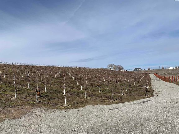 2nd image of 630 Moore Rd