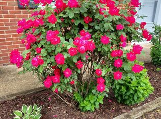 131 Arundel Rd, Pasadena, MD 21122