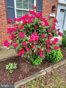 131 Arundel Rd, Pasadena, MD, 21122