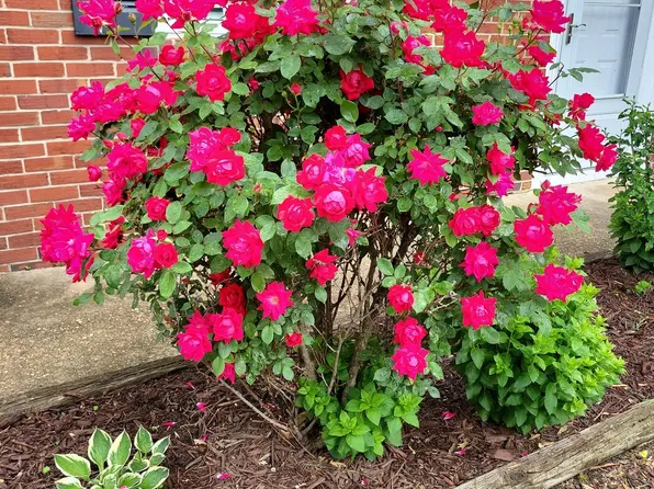 131 Arundel Rd, Pasadena, MD 21122