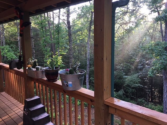 early evening view from deck