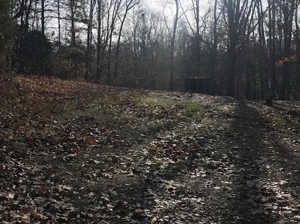 1991 Simmons Ridge Rd, Cornersville, TN 37047