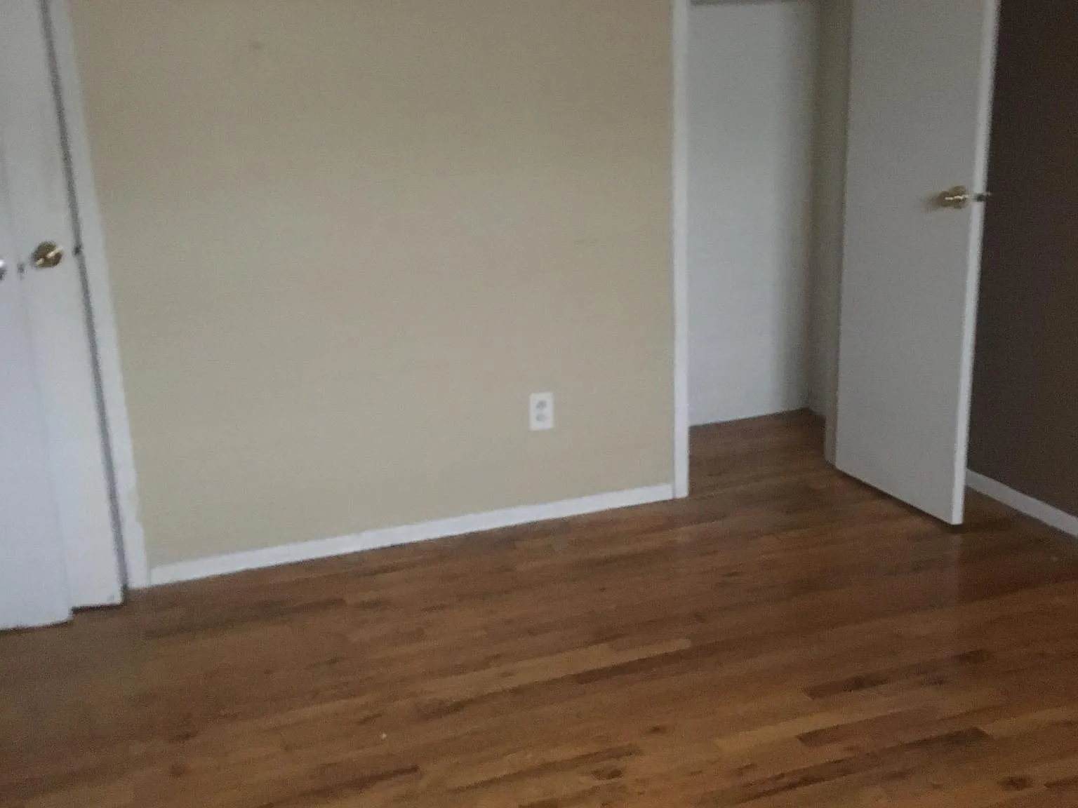 1 bed, 800 sqft, $1,800 — Photo 4