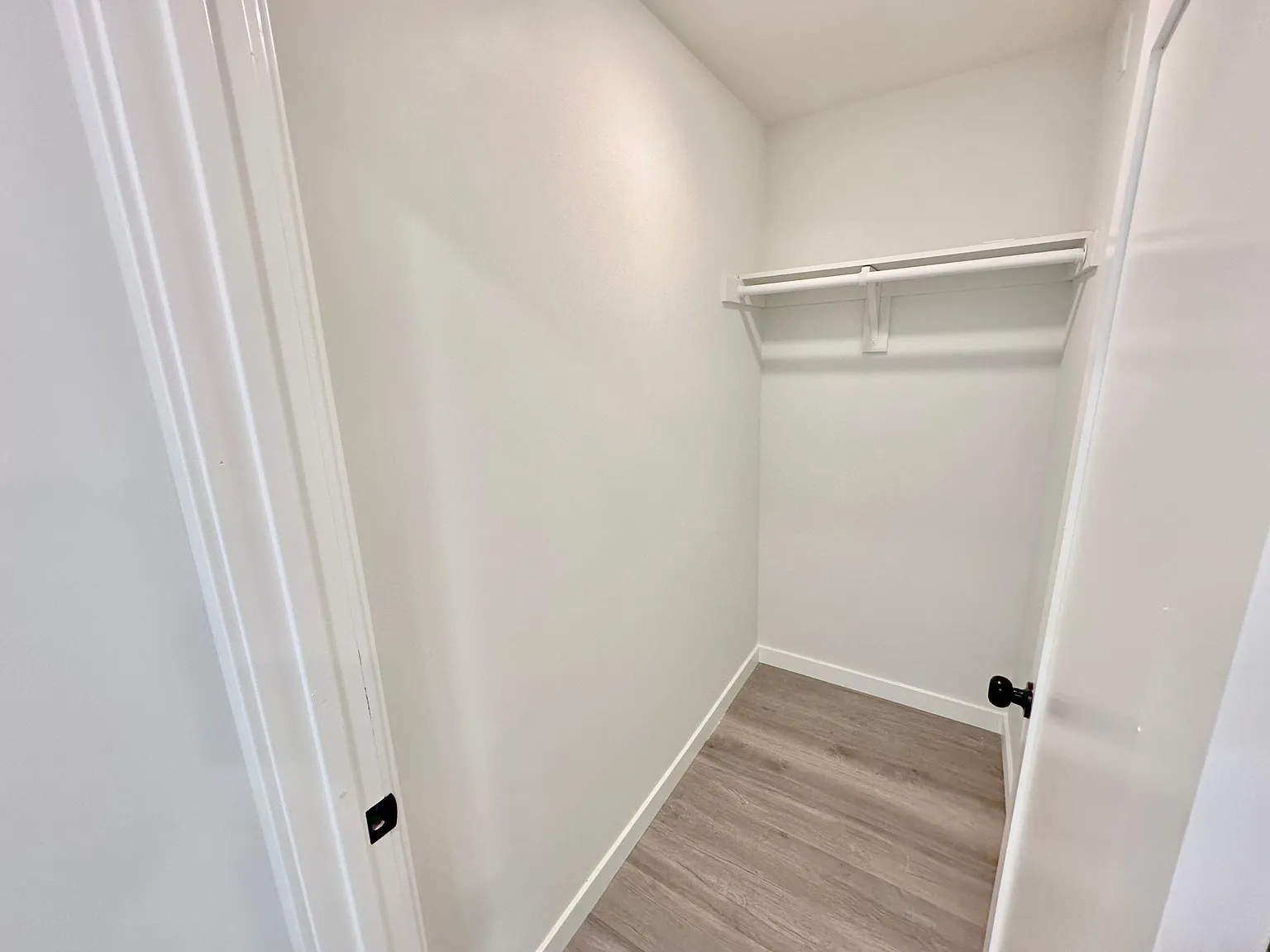 1635 Micheltorena St — Photo 4