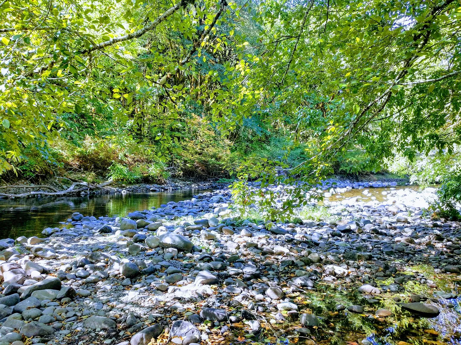 Wandering Spirit, LLC — Photo 1