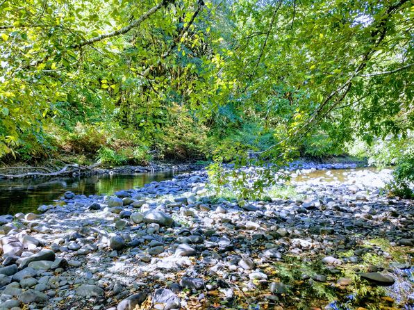 28800 Salmon River Hwy #WS078