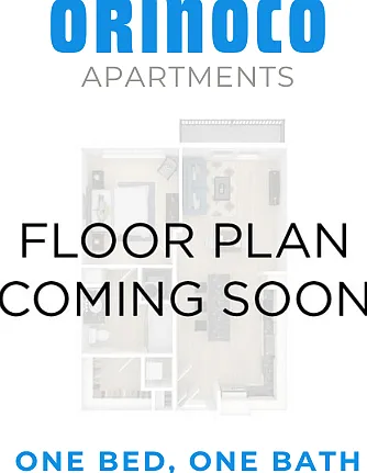 Orinoco Apartments — Photo 18