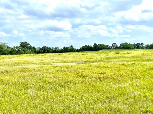 County Road 248, Beckville, TX 75631