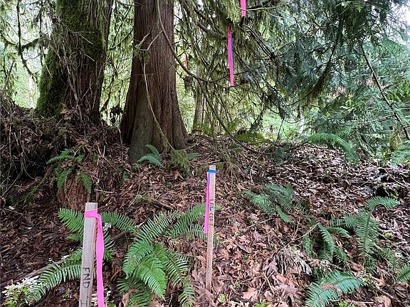 2nd image of 15026 Iceberg Road