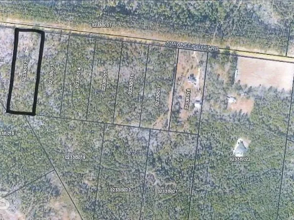 2007 Shawnee Egypt Rd, Springfield, GA 31329