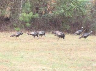 240 Mount Herman Rd, Savannah, TN 38372