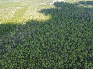 TRACT Bergman Rd #F, Naylor, GA 31641