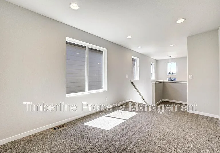 7359 Hunter Jumper Dr — Photo 28