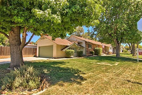 Orangevale Charmer