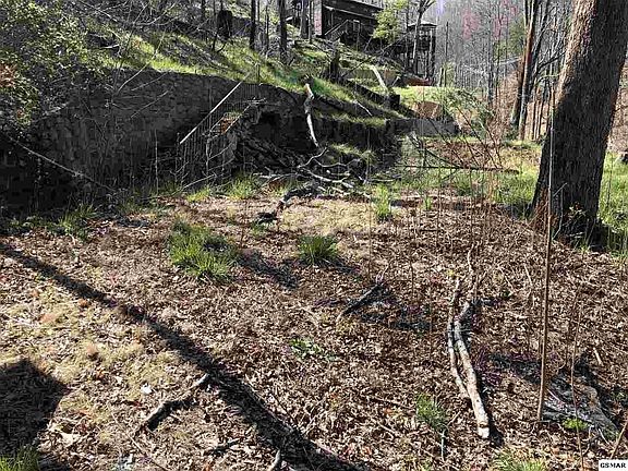 3rd image of 229 Silverbell Ln