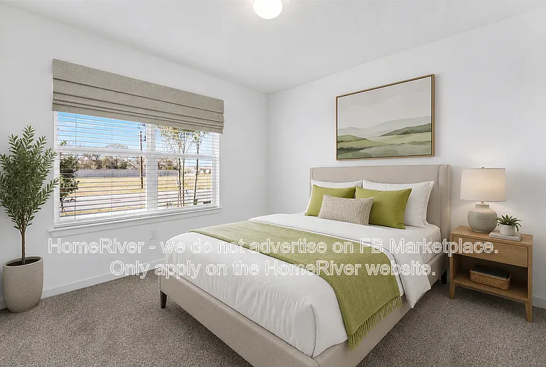 10826 Sapphire Breeze Cv — Photo 6